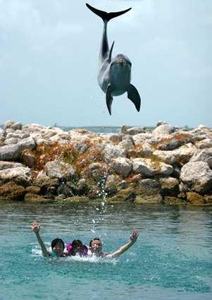 Nassau pools