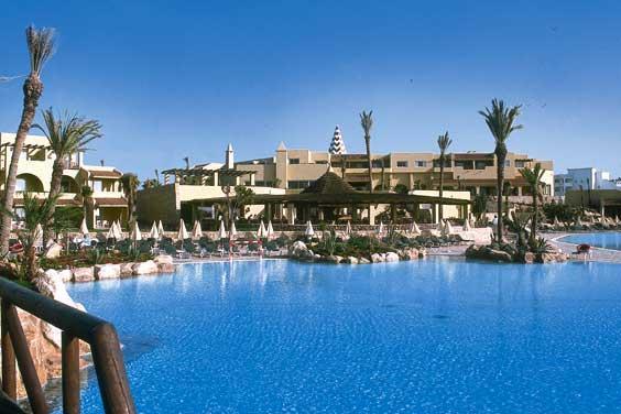 Agadir chameau
