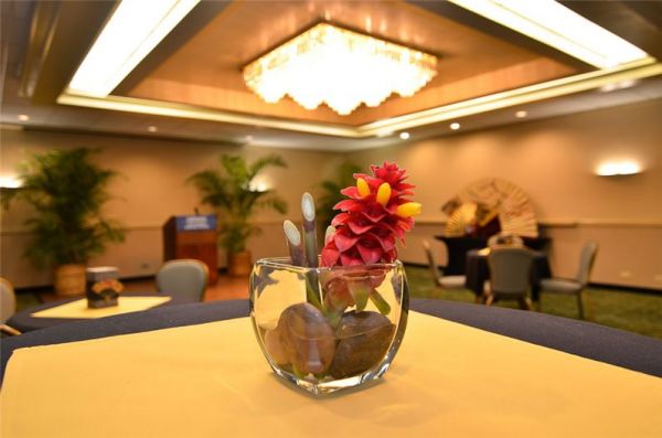 Airport Honolulu Hotel extérieur