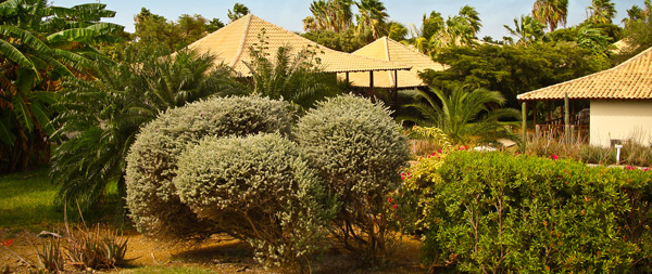 Papagayo Beach Hotel Hotel reception