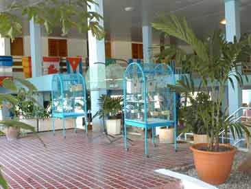 Hotel Tropicoco extérieur 2