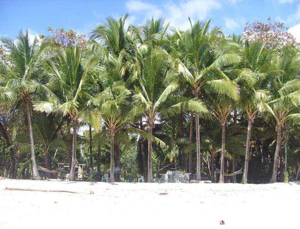 Cabo Blanco hotel lobby