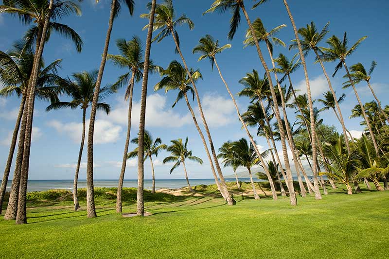 Hale Kai O Kihei exterior