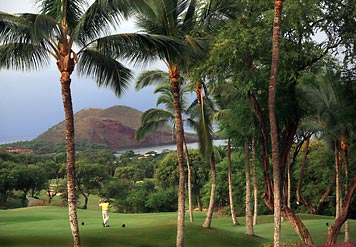 Wailea Beach Marriott Resort And Spa beach