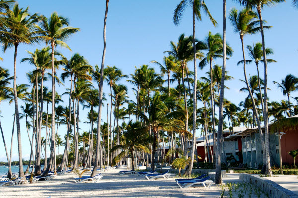 Barcelo Bavaro Palace Deluxe beach