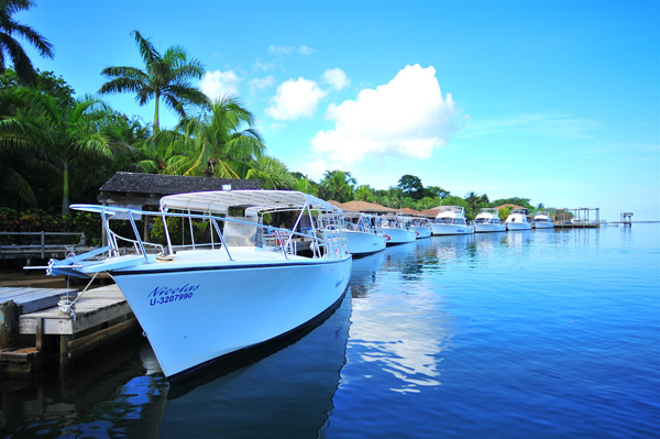 Anthony Key Resort extérieur